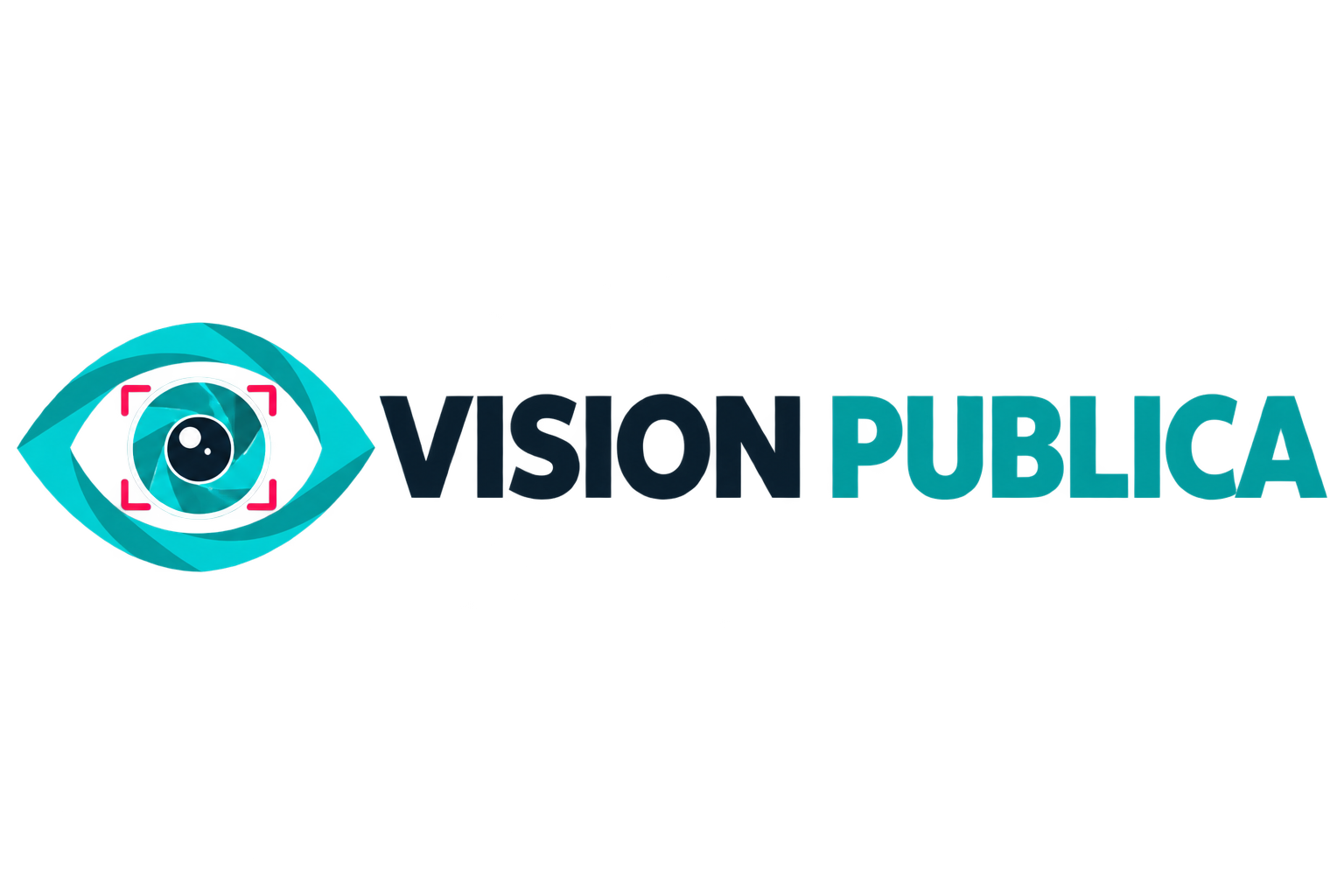 Visión Publica